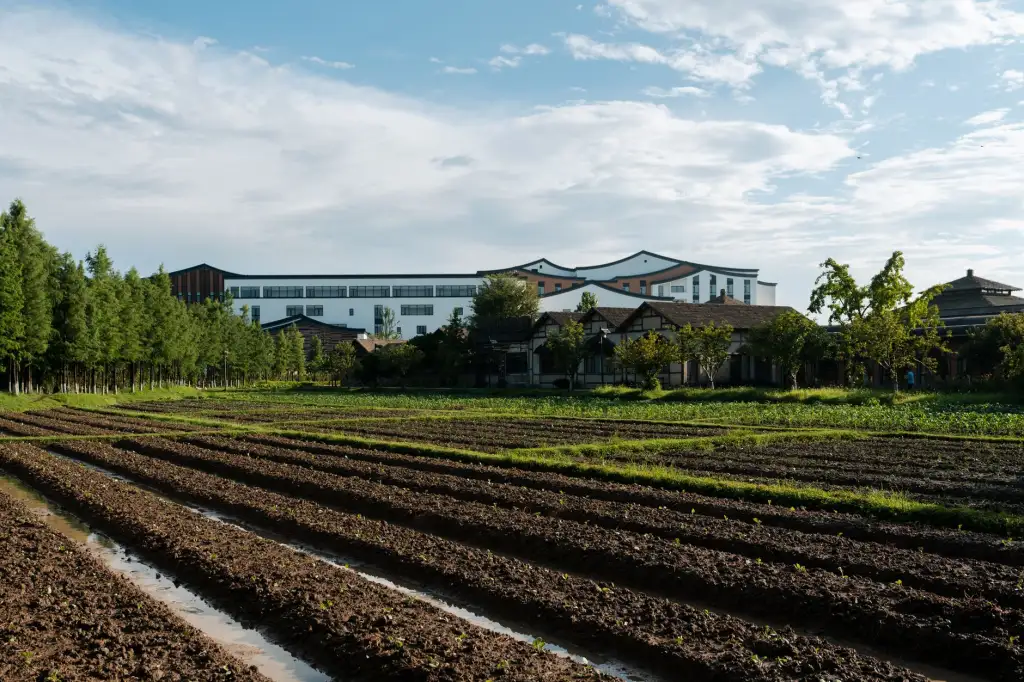 西南地区进出口贸易代理服务流程与风险管控方案