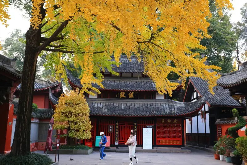成都外贸企业拓展海外市场：进出口贸易全流程服务解析