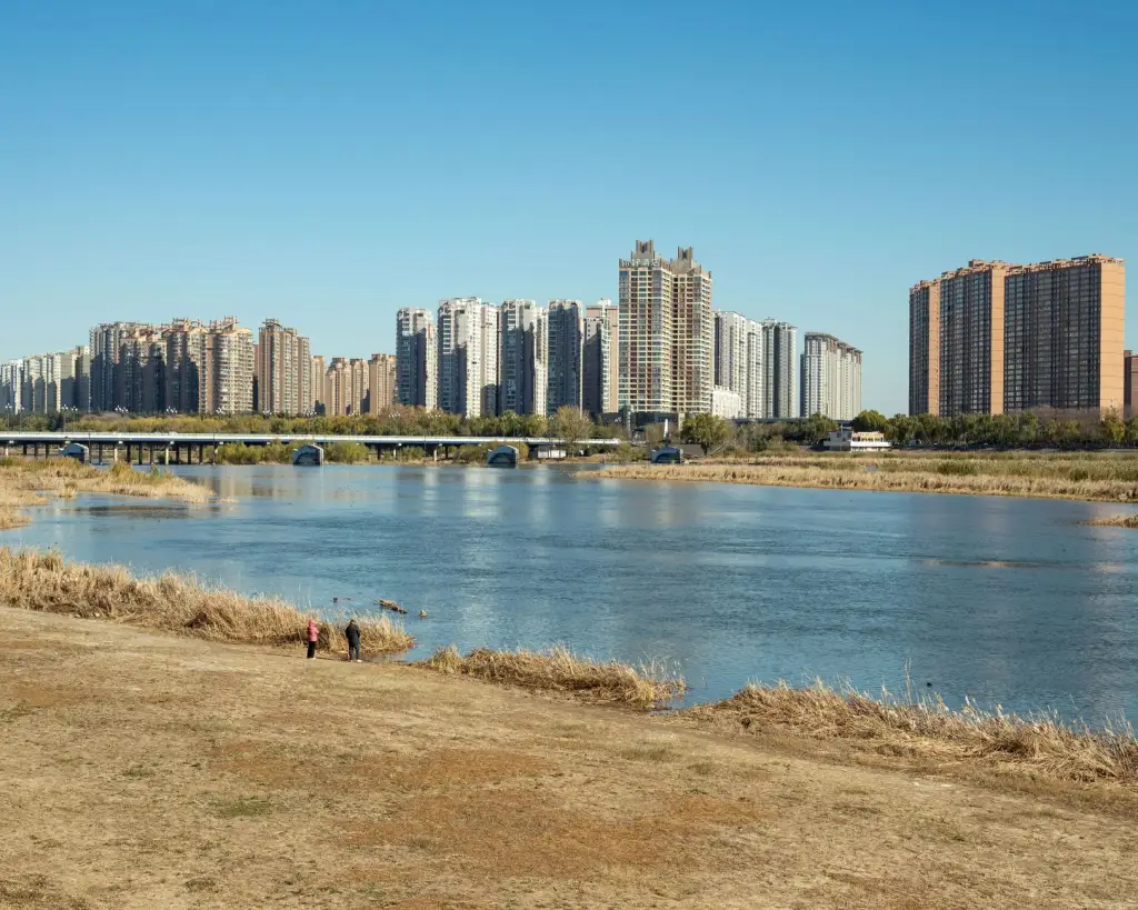 成都欧络腾飞国际贸易进出口代理服务流程与时效分析