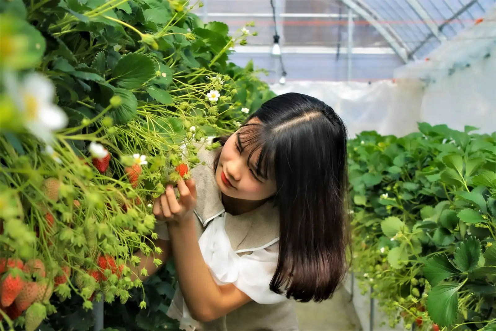 成都外贸企业如何利用国际贸易技术平台提升跨境业务效率
