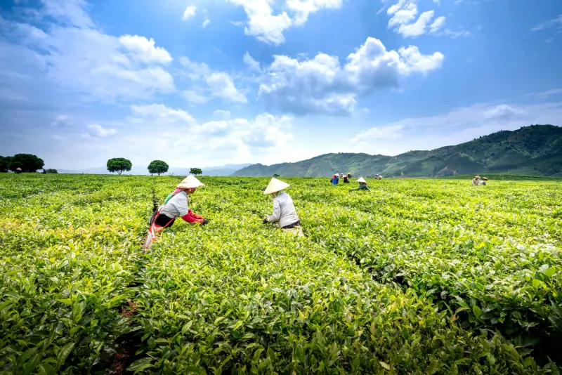 成都国际贸易企业如何通过进出口代理优化跨境供应链效率