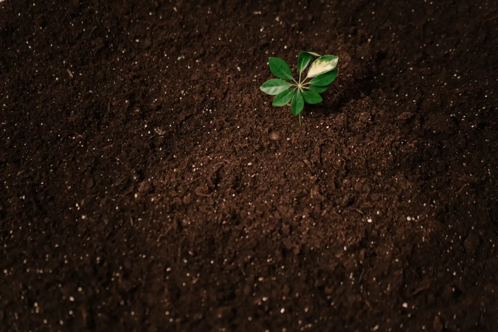 进出口贸易中常见关税风险识别与合规管控方案
