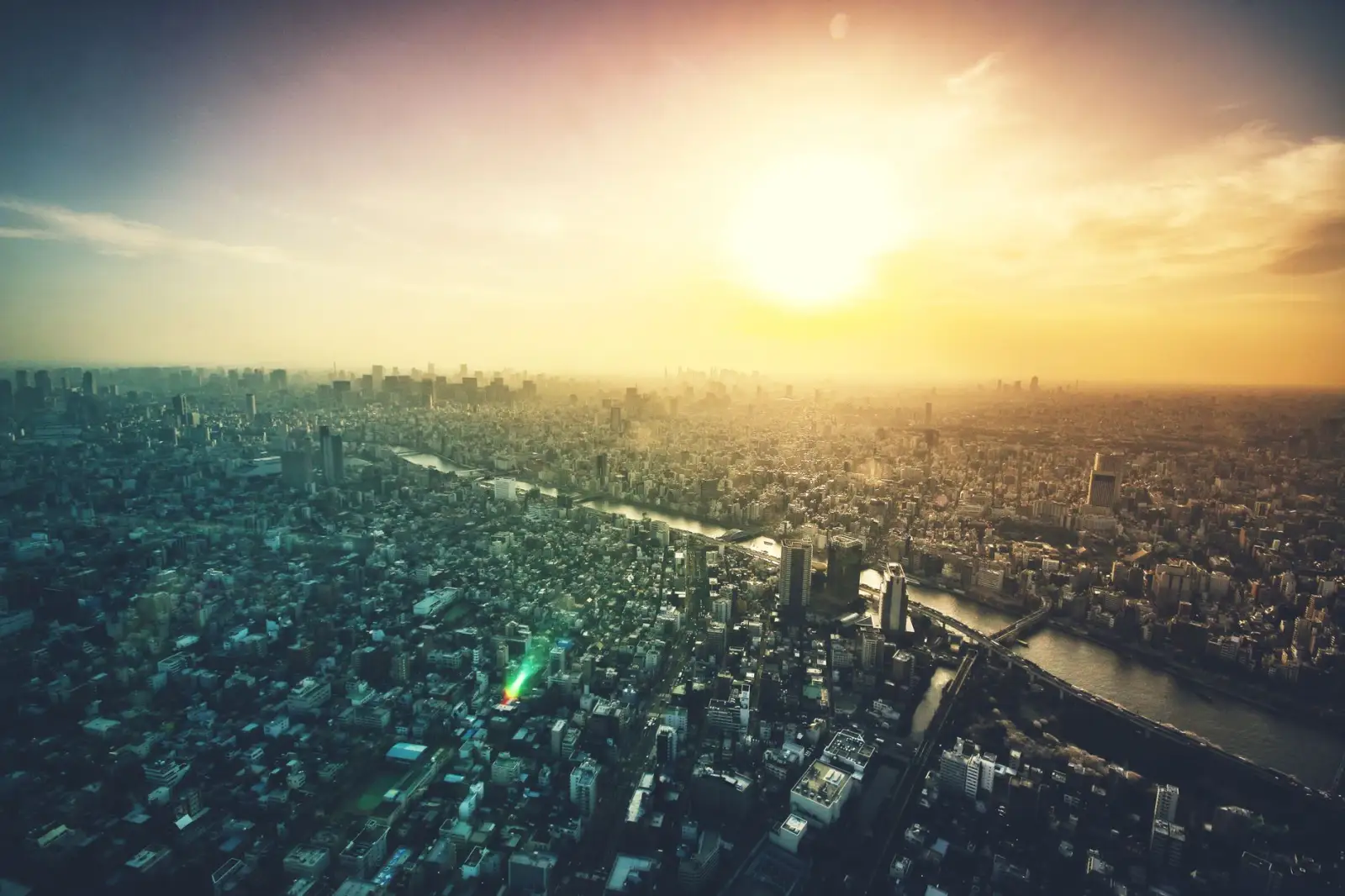 2025年国际贸易政策调整对西南外贸企业的影响分析